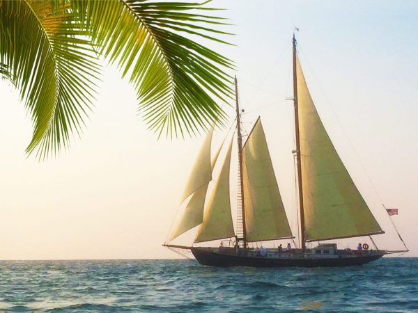 Monohull sailboat Yacht Rentals in Key West