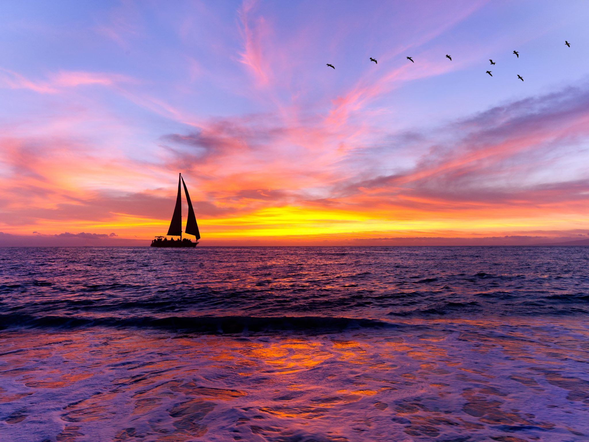 Craigslist Hawaii Honolulu Oahu - dsvkrof